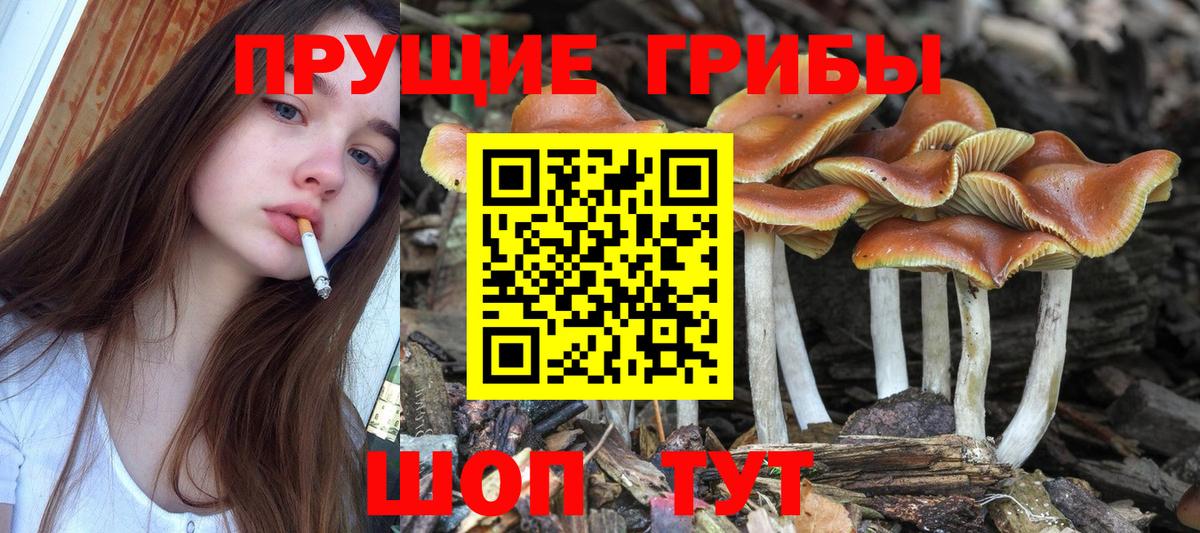 Псилоцибиновые грибы ЛСД  Вход с VPN  наркотики  Псилоцибиновые грибы ЛСД  Родники 